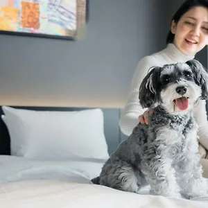 *** ホテル Anddoggy京都二条 日本