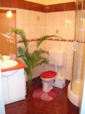Gasthof Pension Mozart - Newly Renovated Wien